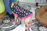     
: DSC_1066.jpg
: 32
:	163.6 
ID:	3578498