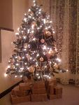     
: IMG_1061.jpg
: 109
:	103.6 
ID:	3579055