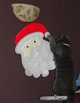     
: DSC03465.JPG
: 16
:	238.6 
ID:	3579504
