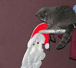     
: DSC03451.JPG
: 12
:	228.7 
ID:	3579506