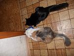     
: DSCN0079.jpg
: 14
:	233.8 
ID:	3580092