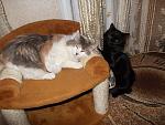     
: DSCN0088.jpg
: 12
:	237.4 
ID:	3580094