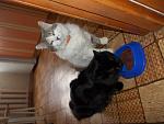     
: DSCN0082.jpg
: 16
:	247.6 
ID:	3580095