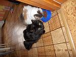     
: DSCN0080.jpg
: 15
:	250.3 
ID:	3580097