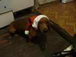     
: z_3e7ebe78.jpg
: 27
:	241.4 
ID:	3580594