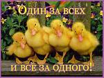     
: 50491017.jpg
: 6
:	41.6 
ID:	3580778
