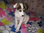     
: IMG_3950.jpg
: 41
:	103.8 
ID:	3581050