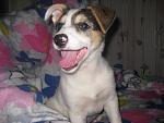     
: IMG_3954.jpg
: 44
:	115.0 
ID:	3581054