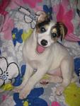     
: IMG_3952.jpg
: 40
:	63.9 
ID:	3581055