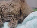     
: IMG_30-12-2011_150044.jpg
: 57
:	143.2 
ID:	3581566