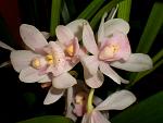     
: PC310007.JPG
: 25
:	79.7 
ID:	3582006