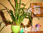     
: PC310003.JPG
: 27
:	152.0 
ID:	3582008