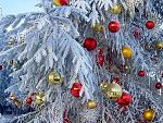     
: 090b0260d38ff25d034a1bafa87e9f74.jpeg
: 34
:	215.3 
ID:	3582488