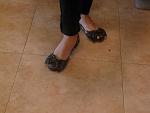     
: P1120108.jpg
: 76
:	90.5 
ID:	3584170