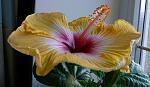     
: amanda dubin1.jpg
: 33
:	69.4 
ID:	3586224