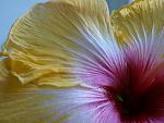     
: amanda dubin3.jpg
: 32
:	81.8 
ID:	3586226