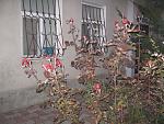     
: IMG_0095.jpg
: 27
:	82.5 
ID:	3587519