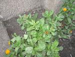     
: IMG_0106.jpg
: 22
:	76.1 
ID:	3587520