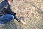     
: DSC_0593.jpg
: 101
:	252.4 
ID:	3587591
