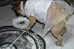     
: DSC_0062.jpg
: 32
:	109.1 
ID:	3587910
