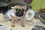     
: DSC_0059.jpg
: 40
:	127.9 
ID:	3587911
