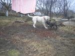     
: Изображение 509.jpg
: 27
:	225.6 
ID:	3589690
