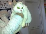     
: 03012012446.jpg
: 32
:	7.5 
ID:	3589929