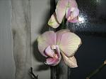     
: IMG_2835.jpg
: 20
:	101.0 
ID:	3593248