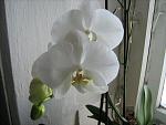     
: IMG_2795.jpg
: 20
:	96.9 
ID:	3593249