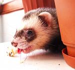     
: P5102055.jpg
: 31
:	92.3 
ID:	3593293