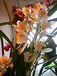     
: PC310006.jpg
: 10
:	159.6 
ID:	3595155