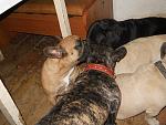     
: DSCN1730.jpg
: 26
:	181.8 
ID:	3596154
