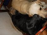     
: DSCN1722.jpg
: 22
:	136.9 
ID:	3596168