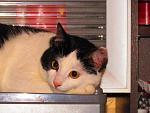     
: IMG_0186.jpg
: 18
:	139.2 
ID:	3597578