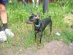     
: DSC02774.jpg
: 28
:	254.4 
ID:	3599614