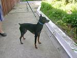     
: DSC02776.jpg
: 27
:	166.5 
ID:	3599617