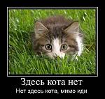     
: 070.jpg
: 33
:	37.1 
ID:	3600663