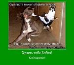     
: два1.jpg
: 56
:	58.5 
ID:	3601609