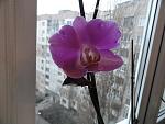     
: DSC03307.jpg
: 19
:	98.0 
ID:	3605415
