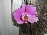    
: DSC03306.jpg
: 19
:	106.3 
ID:	3605416