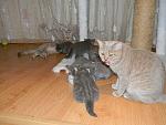    
: DSCN6347.jpg
: 43
:	166.4 
ID:	3606064