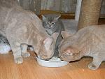     
: DSCN6352.jpg
: 35
:	172.8 
ID:	3606068