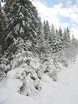     
: Изображение 1060.jpg
: 30
:	128.9 
ID:	3606292