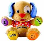     
: fp_L488120081031114250_353x333.jpg
: 29
:	88.5 
ID:	3607159