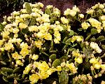     
: Фото-0085.jpg
: 43
:	239.3 
ID:	3608545