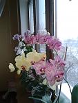     
: 2012-01-10 09.30.11.jpg
: 57
:	89.2 
ID:	3608833