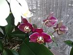     
: 2012-01-10 09.29.48.jpg
: 46
:	169.3 
ID:	3608835