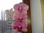     
: 2012-01-10 09.29.30.jpg
: 37
:	124.7 
ID:	3608883