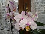     
: 2012-01-10 09.28.36.jpg
: 37
:	163.7 
ID:	3608889