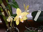     
: 2012-01-10 09.28.55.jpg
: 33
:	115.3 
ID:	3608896